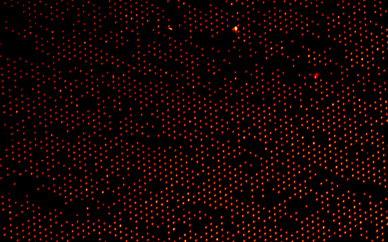 A microarray of sub-micron spherical supported lipid bilayers used to investigate lipid-protein interactions. Read more at this link: http://pubs.acs.org/doi/abs/10.1021/ac3014274